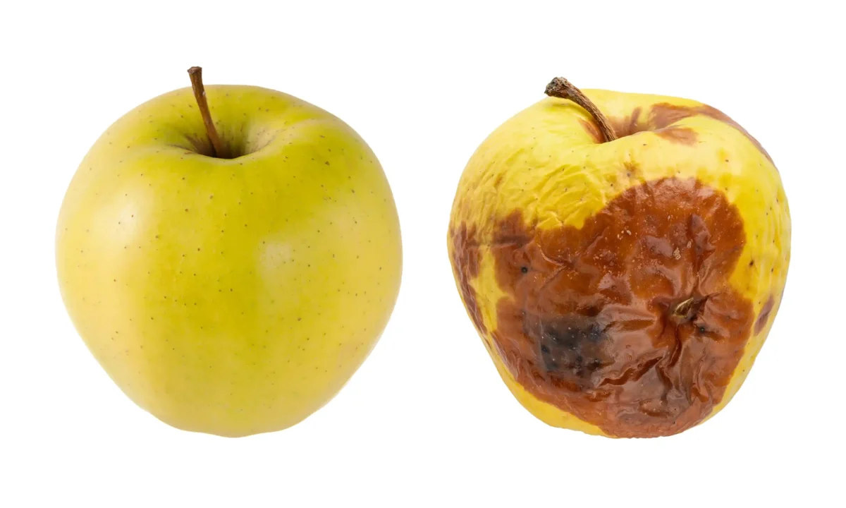 professionele selectie