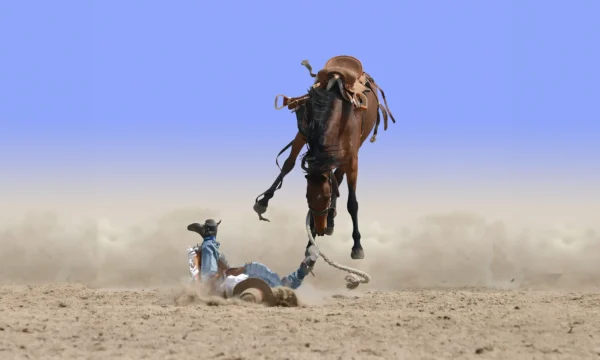 voorbereiden op een assessment